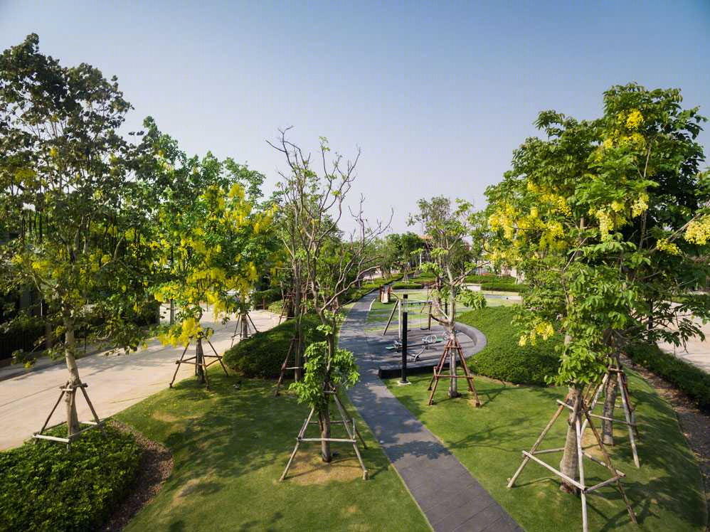 泰国孔敬府住宅景观-10