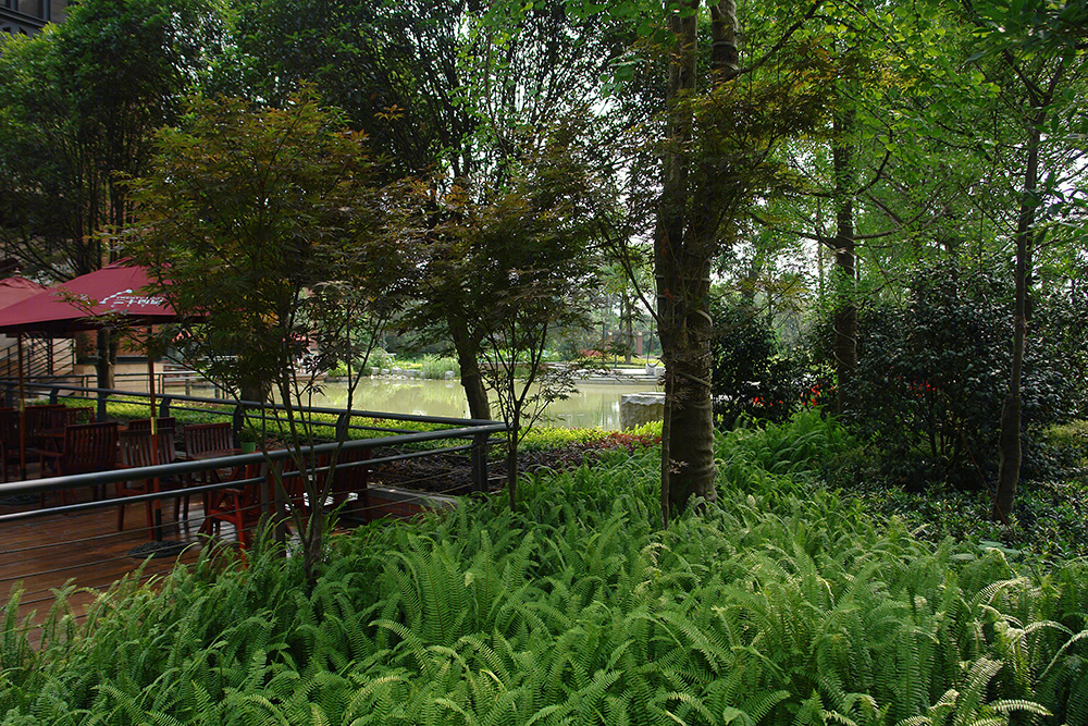 成都二十四城景观设计 | 绿网历史与现代交融-16