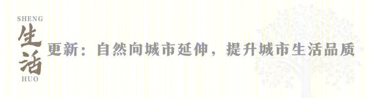 梧州·梧桐岛丨中国梧州丨四川华泰众城工程设计有限公司-23