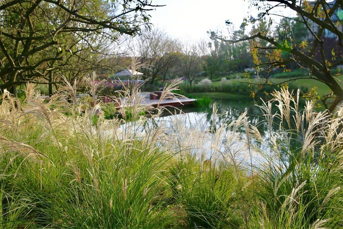 成都麓湖竹隐园-26