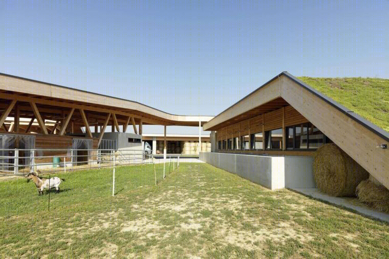 奥地利居辛农业学校丨Pichler&TraupmannArchitekten ZT GmbH-17
