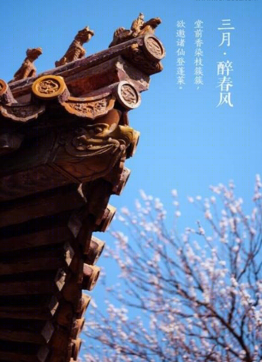 银河国际-44