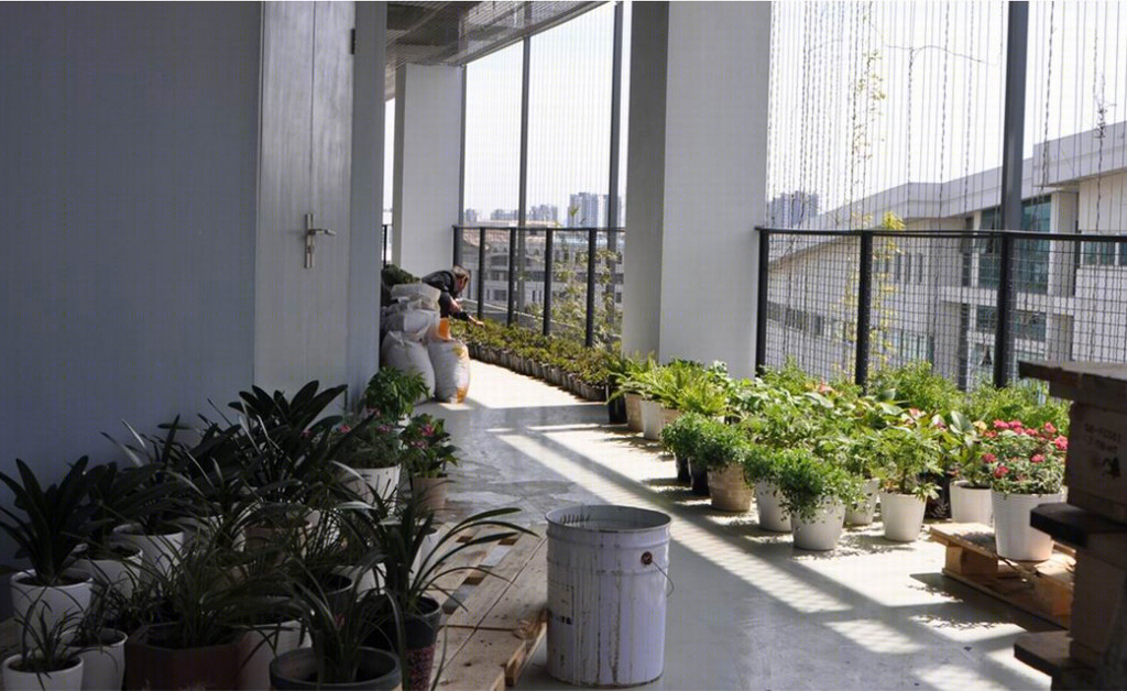 宁波华之办公楼-14