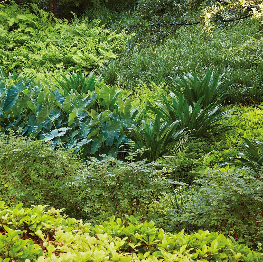2013 ASLA 住宅景观设计类荣誉奖:达拉斯庄园景观,Reed Hilderbrand LLC-55