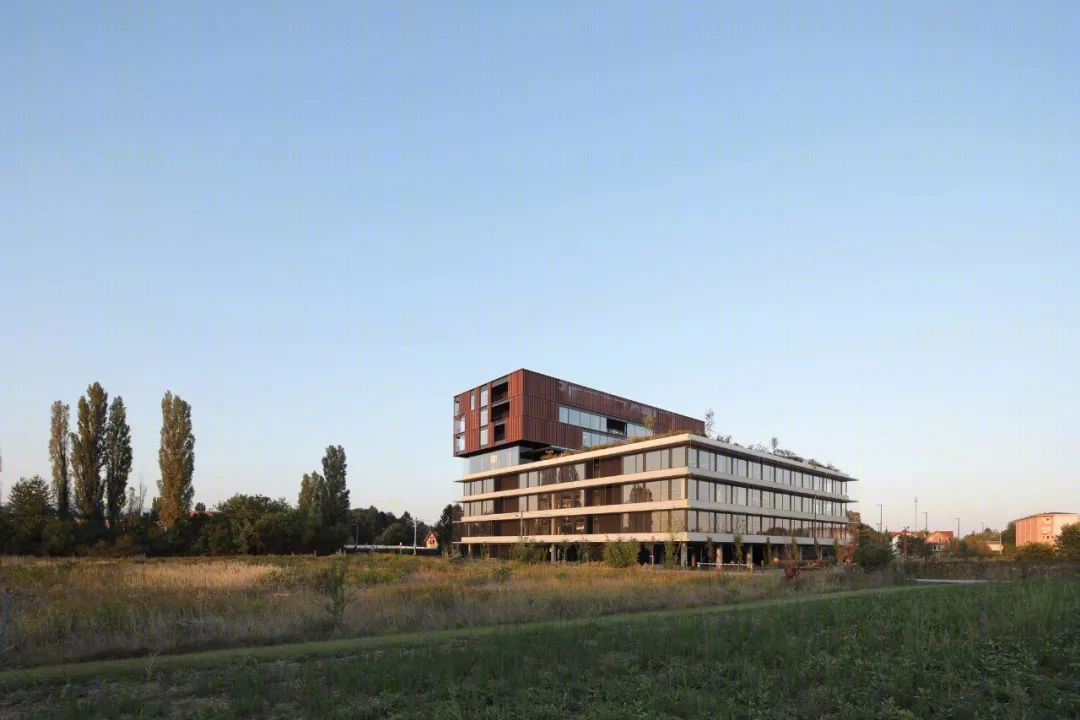 自给自足的有机体 · 克罗地亚 Infobip 混合建筑丨3LHD-11