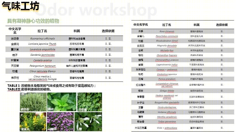 康养社区景观设计 · 以老人为中心,创造全浸润疗愈空间丨栖城景观设计团队-174