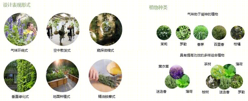 康养医疗景观设计 · 以老人为中心,创造全浸润疗愈空间丨栖城景观设计团队-177