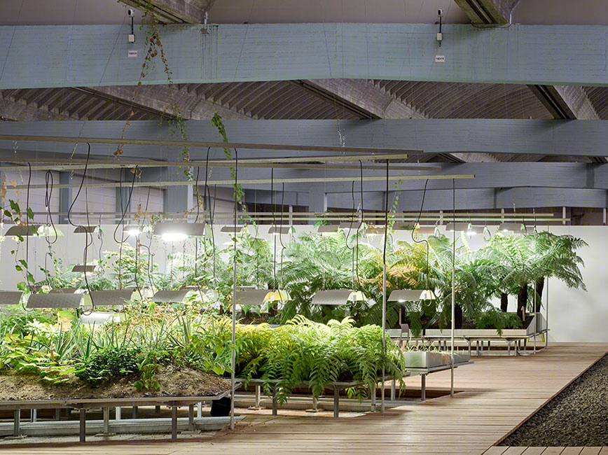 柏林犹太侨民植物园-14