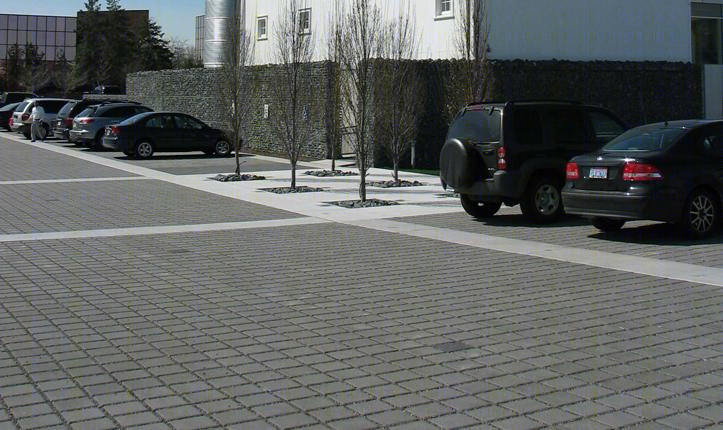 美国 Kresge 基金会大楼-17