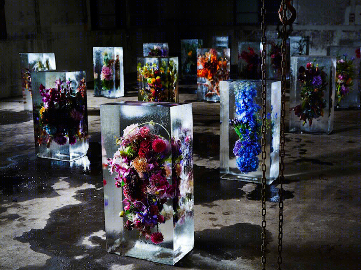 无机空间内的花展景观作品-5