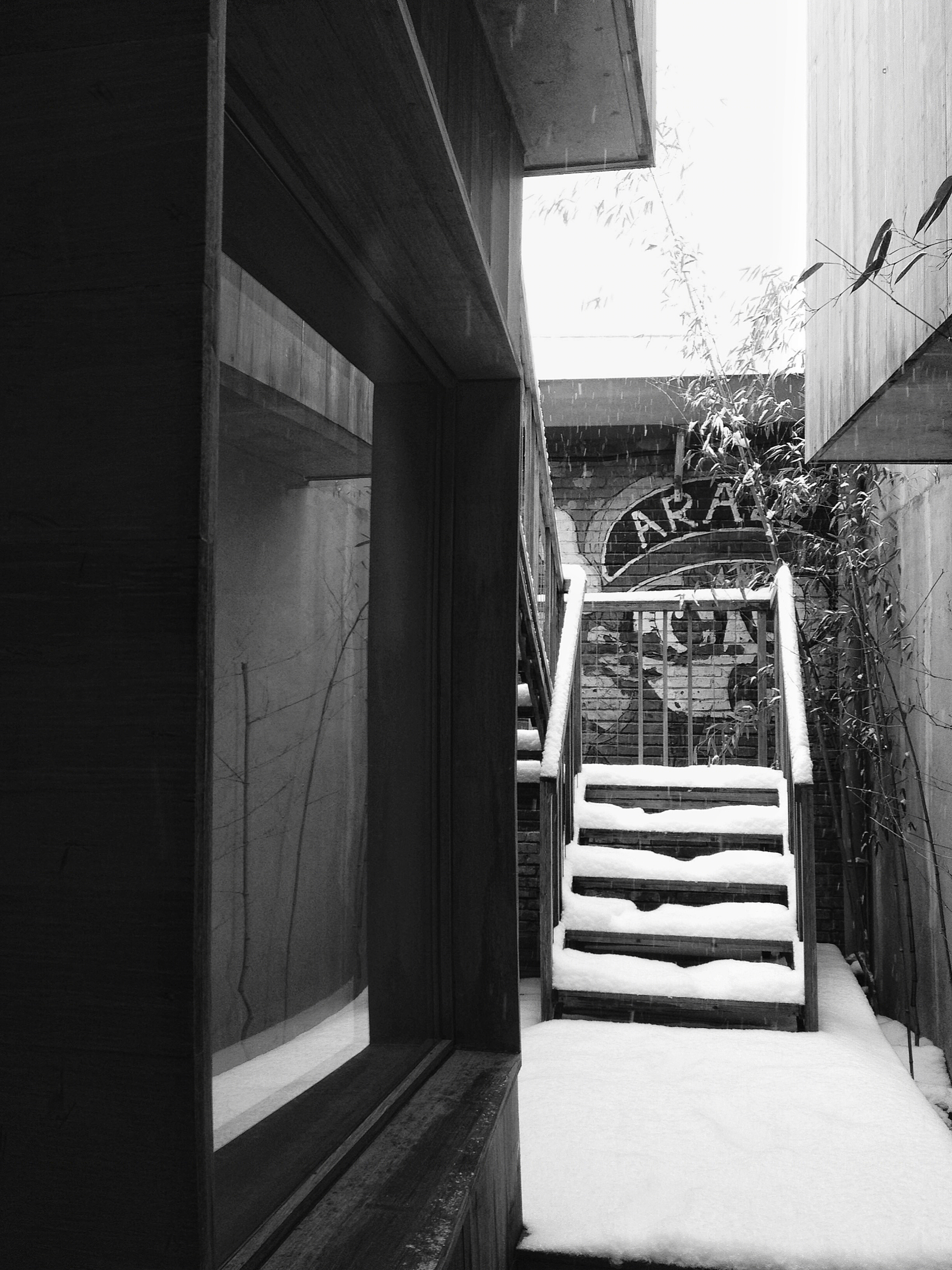 Why 酒店-24