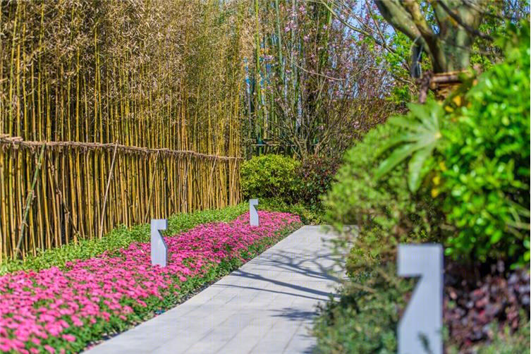上海奉贤桐南美麓住宅景观-12