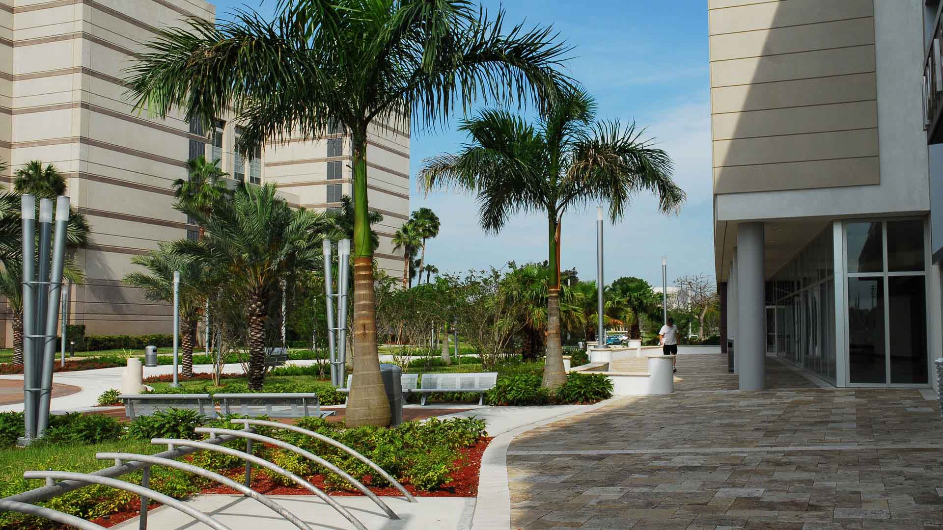 美国 Nova 东南大学，智慧文化聚集地-16