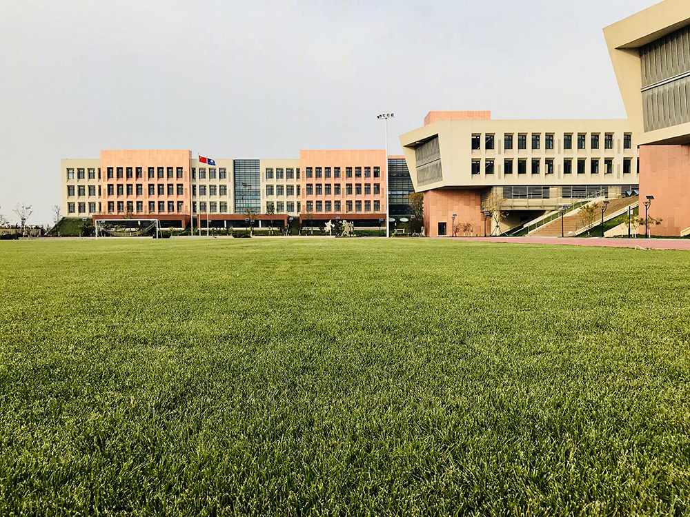 天津高新区第一学校-10