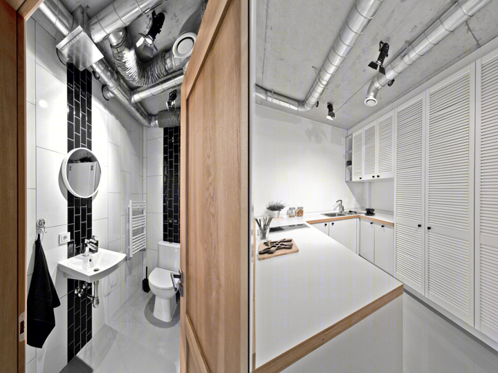 维尔纽斯阁楼工作室-17