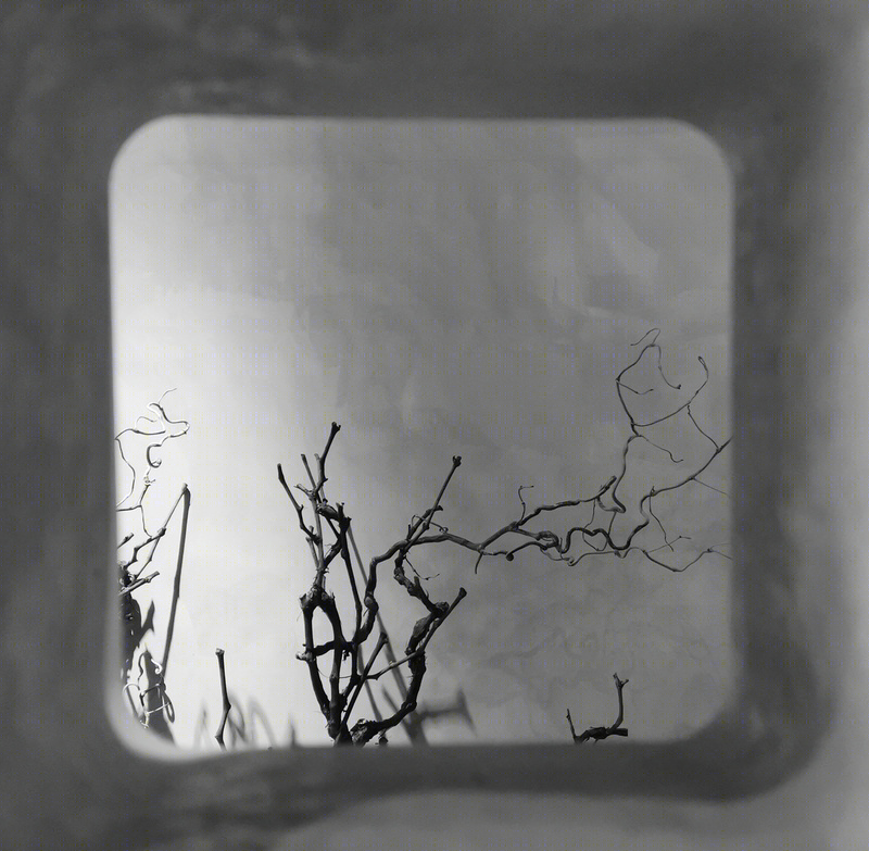 林宜咖啡 · 岭南建筑风格与现代设计元素的完美融合丨中国惠州-19