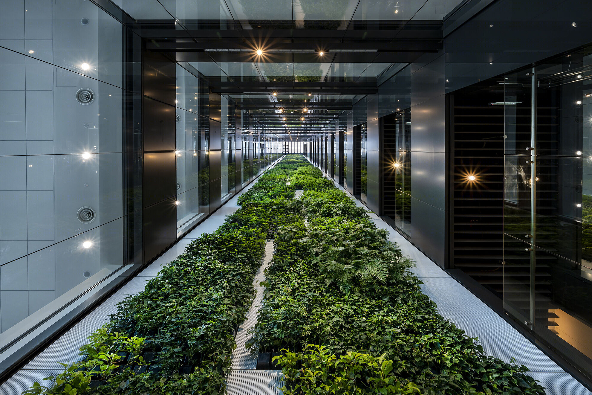 马来西亚 Sachi Design 办公建筑 MHS 3丨马来西亚吉隆坡-29