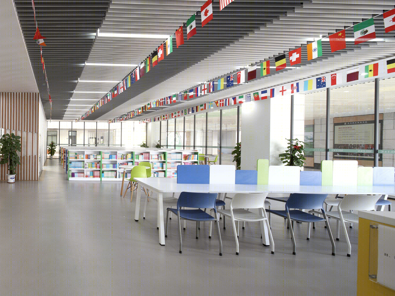 深圳枫叶国际书院丨中国深圳-8