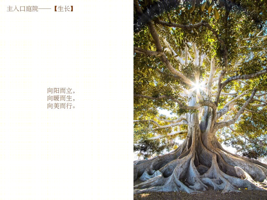香港中文大学(深圳)附属知新学校品质提升工程丨中国深圳丨北京中外建建筑设计有限公司深圳分公司-19