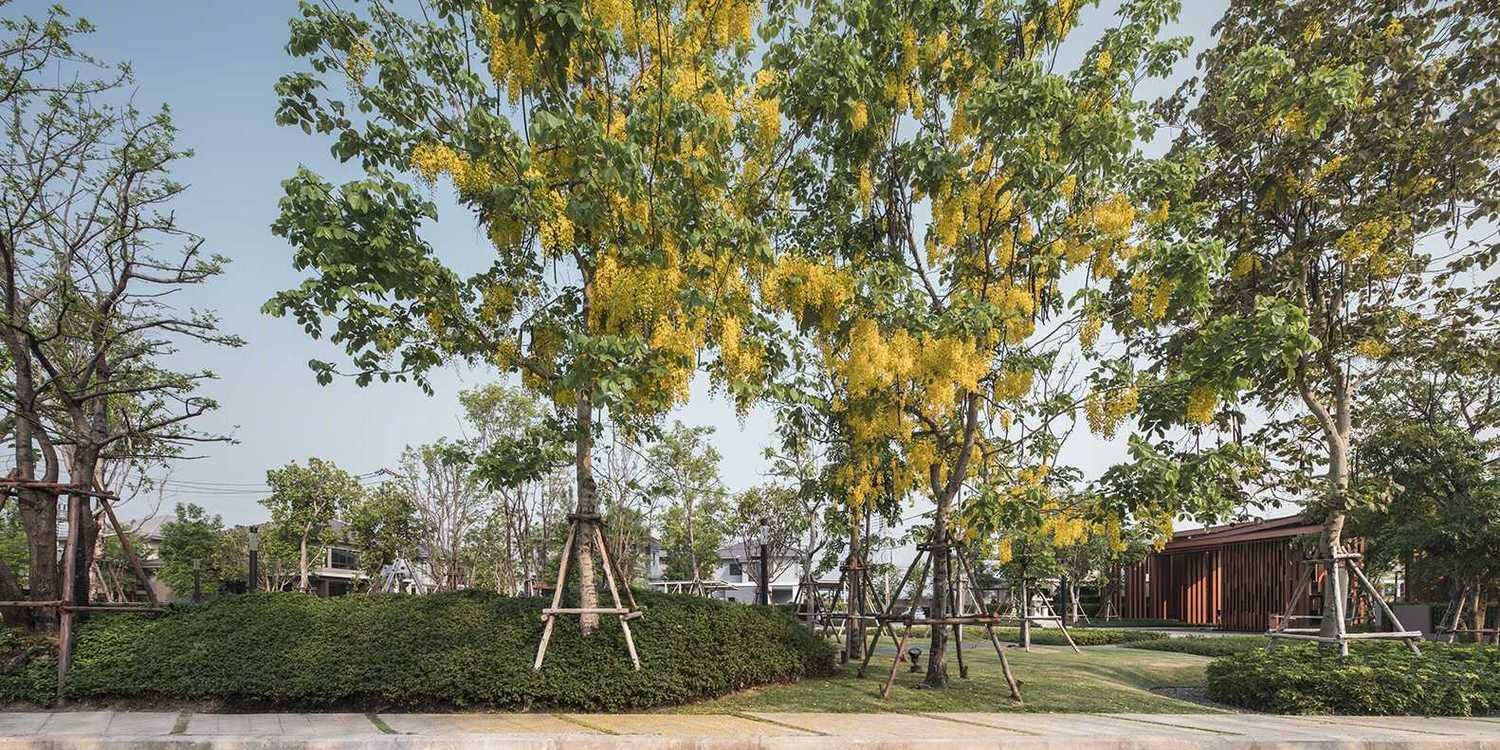 泰国孔敬府住宅景观-15