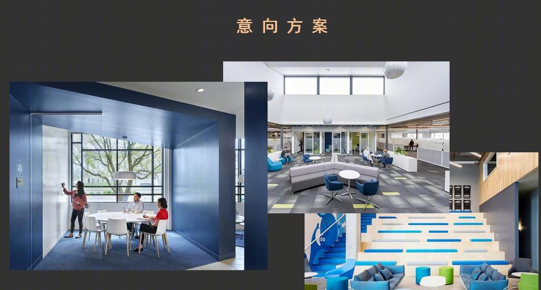 
广西干细胞办公概念方案 -5