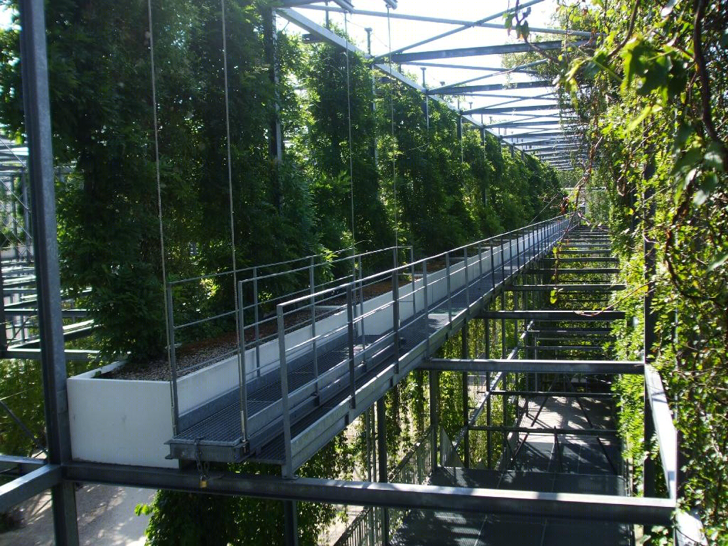 瑞士花园式住宅，绿色密境中的诗意栖居-18