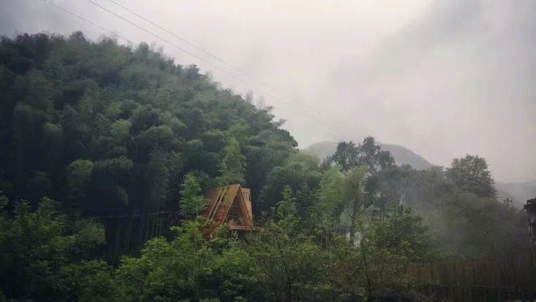 原野民宿设计,融入自然的树蛙部落与海岸度假酒店-20