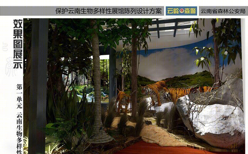 森林公安之家-1