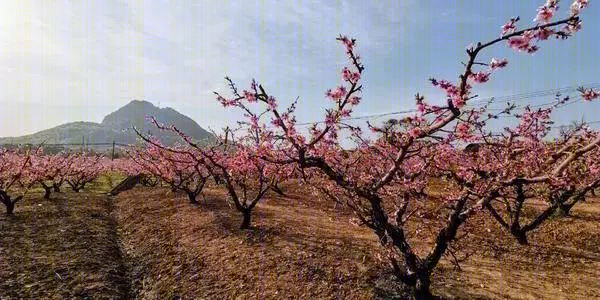 无锡阳山花间堂·桃花岛丨中国无锡-13