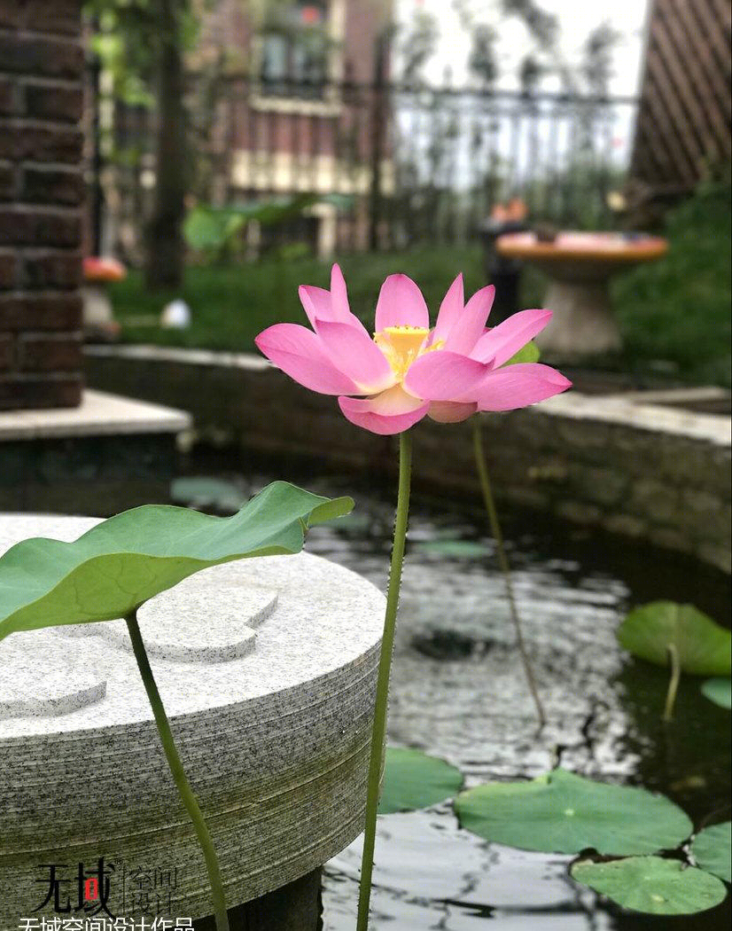 一渡青青小镇500平米独栋别墅…-3