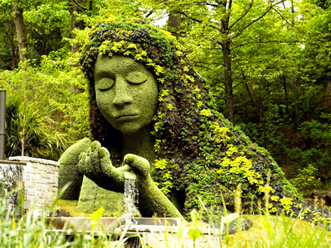 植物园里的绿色雕塑-6