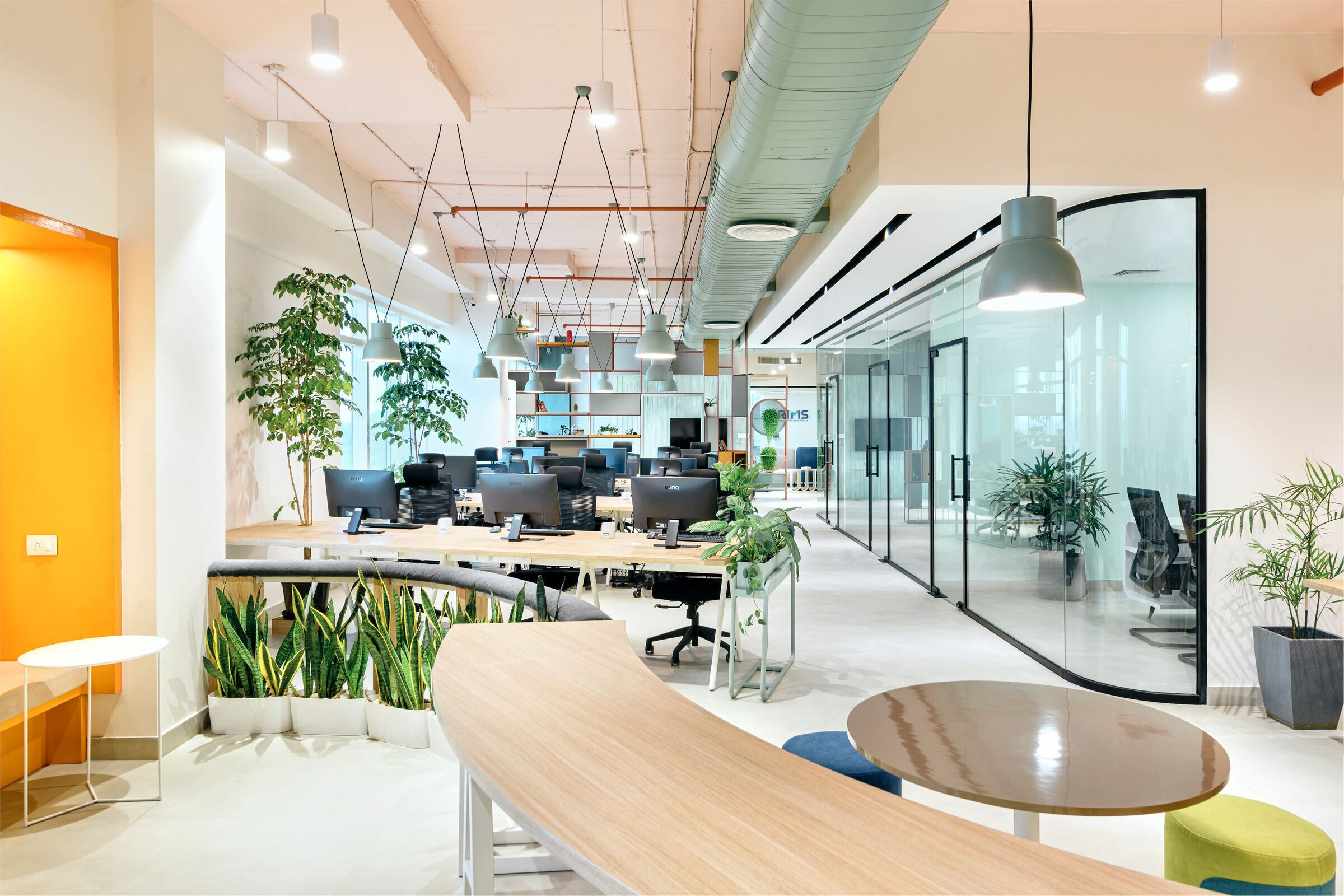Sapling Creations 办公室丨印度-14