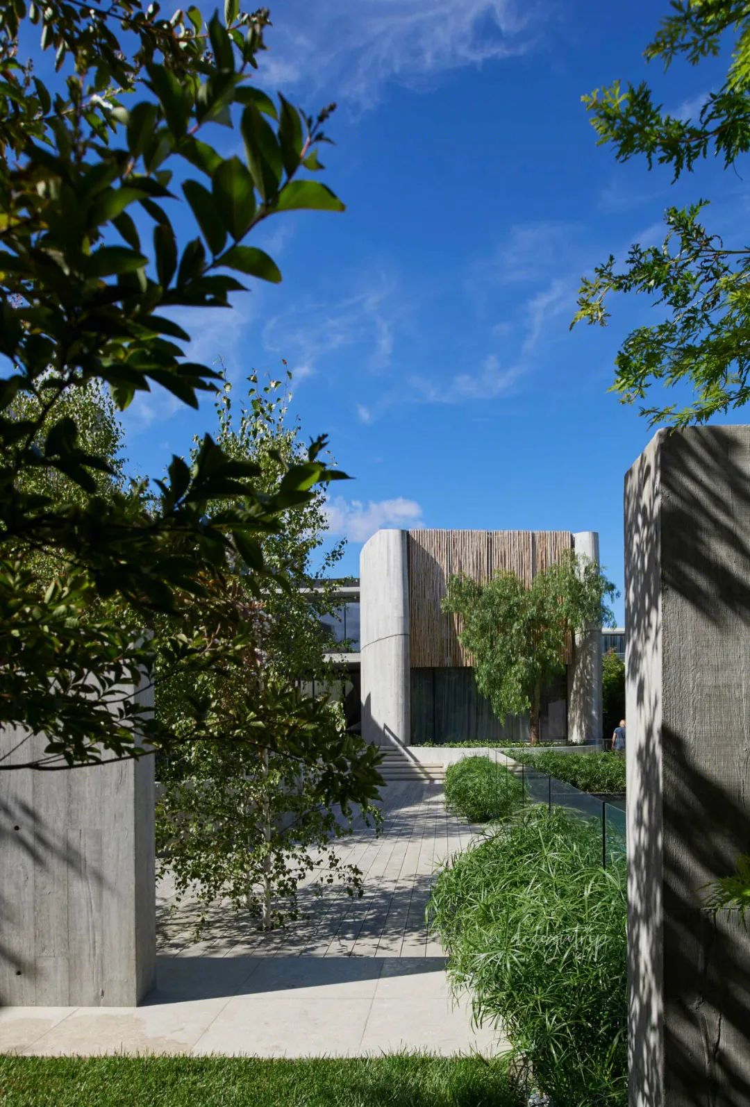 树枝住宅丨澳大利亚丨Leeton Pointon Architects-12