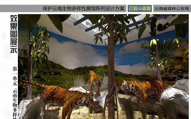 森林公安之家-3