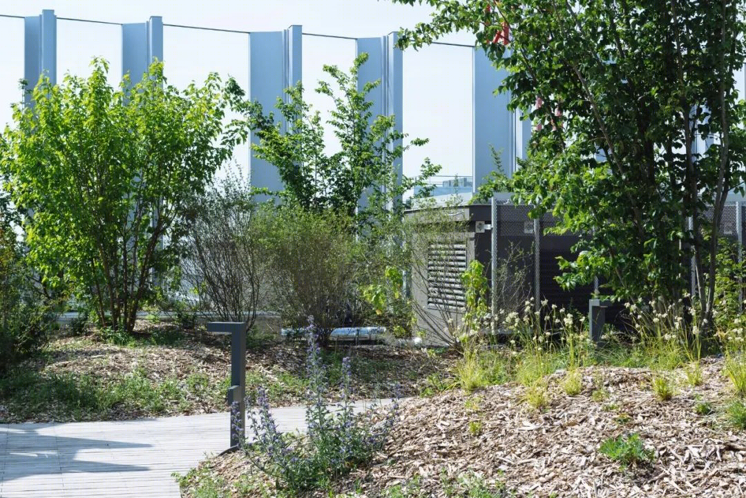 绿意盎然的城市避难所——玻璃办公立面++ 露台式庭院花园设计-28