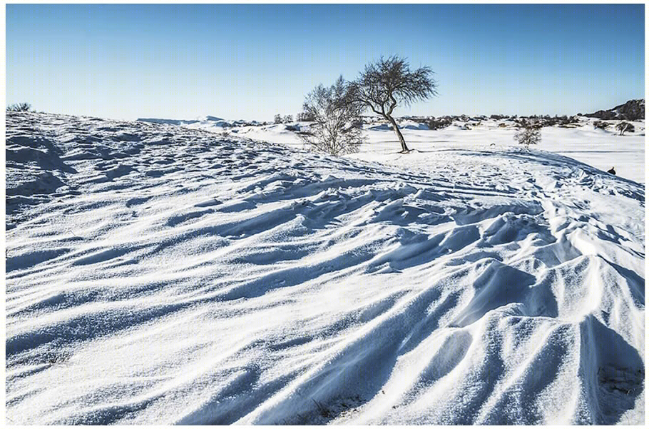 雪川农业马铃薯研究院丨中国河北丨清华大学建筑设计研究院有限公司-27