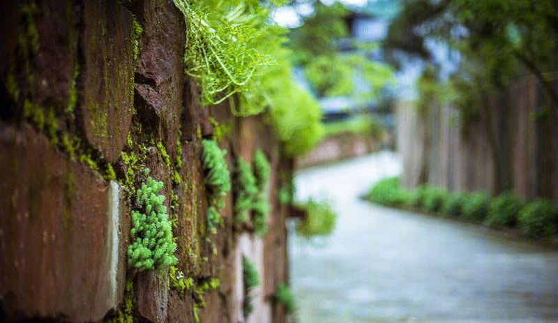 青城山世外私人度假村-39