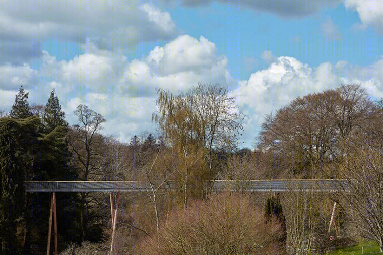 英国最长森林高架通道——westonbirt 植物园观景桥-13