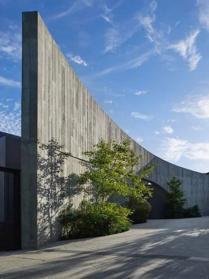 树枝住宅丨澳大利亚丨Leeton Pointon Architects-13