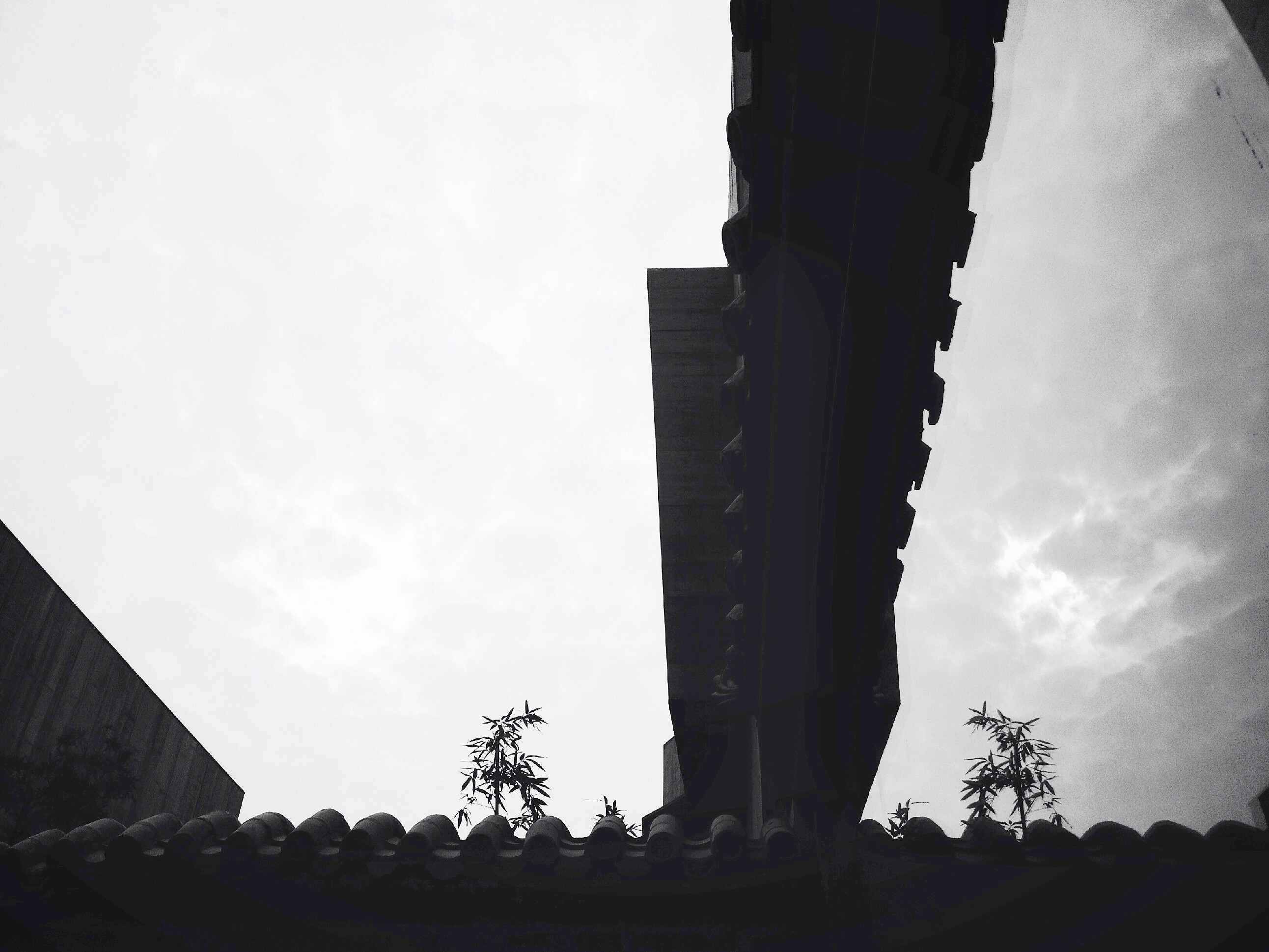 Why 酒店-26