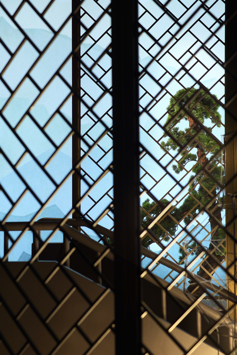 南京足浴连锁品牌陆琴脚艺门店-12