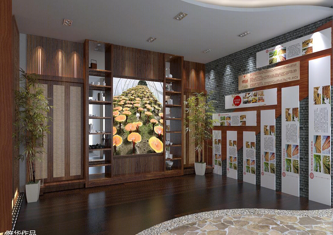 
安徽灵芝连锁店 -4