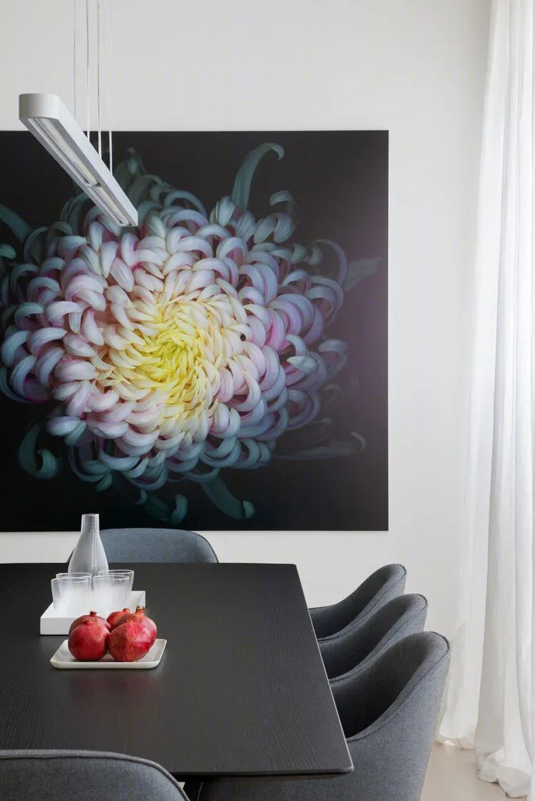 极简艺术，色彩与空间的完美交融 | Nexus Designs 作品-18