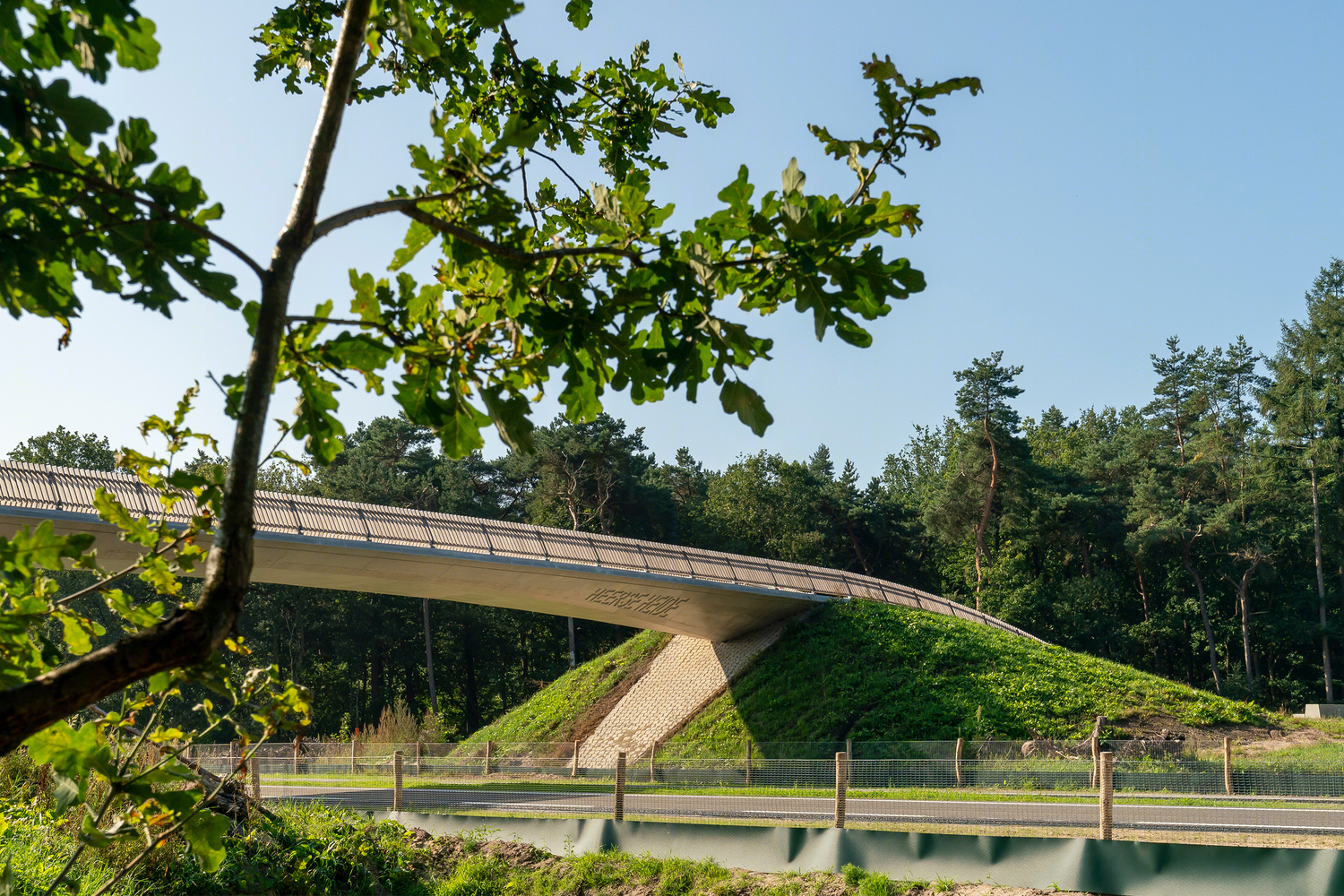 荷兰新 N69 桥丨NEXT architects-14
