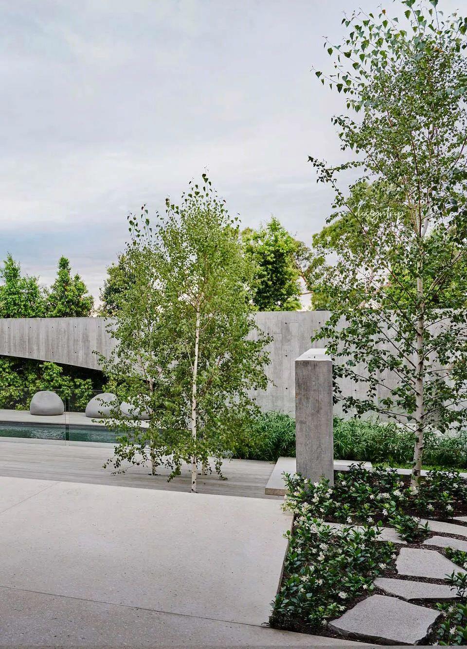 树枝住宅丨澳大利亚丨Leeton Pointon Architects-15