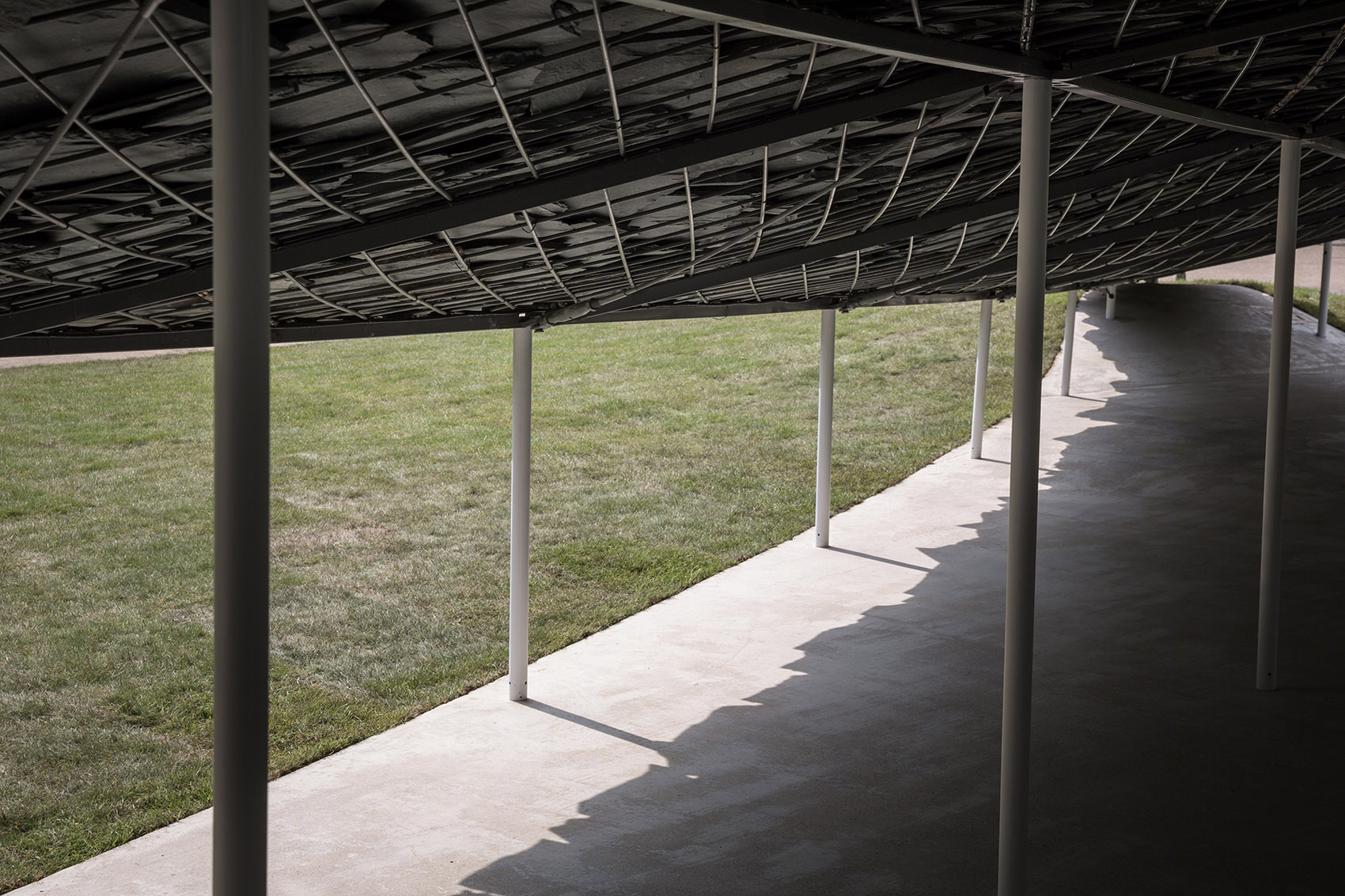 英国蛇形画廊2019建筑-22