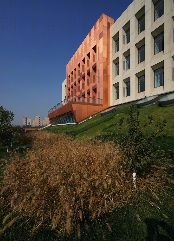天津高新区第一学校-15