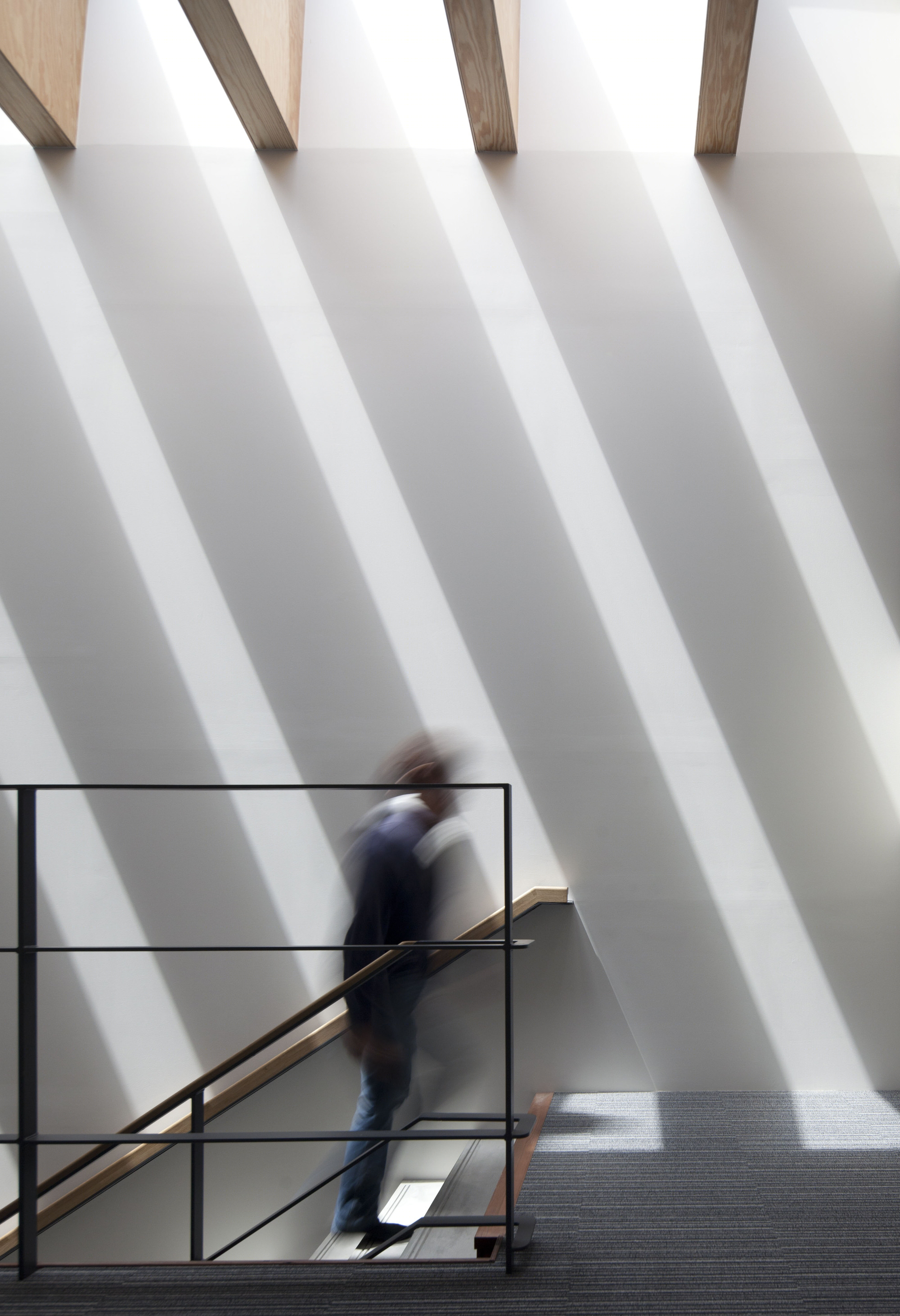 静冈柴鱼组合办公室丨Mizuno architecture design association-51