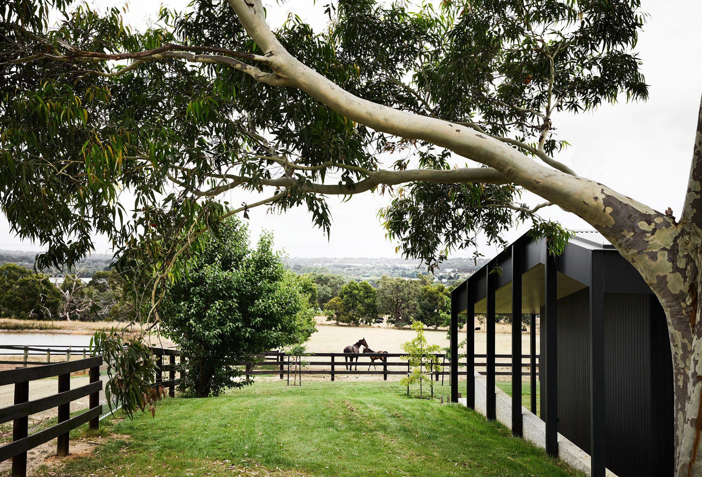 澳洲农庄现代居 | Red Hill Farm House-20