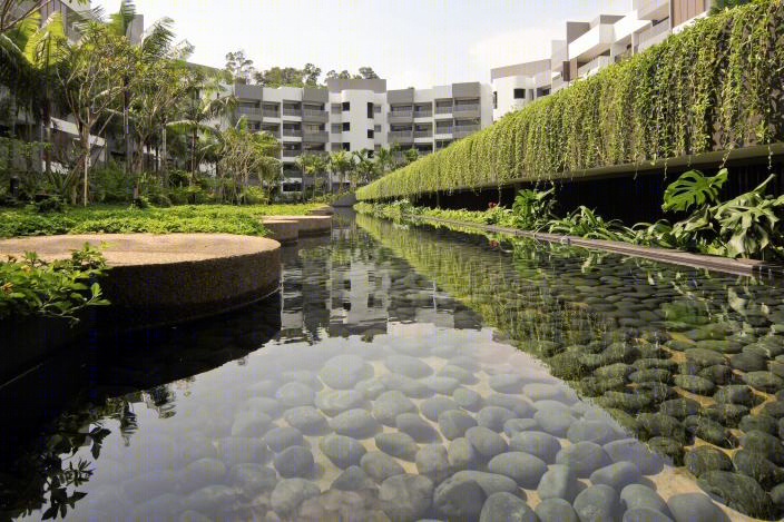 Meadows 住宅景观-12